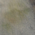 Cleaning a grass stain on jeans