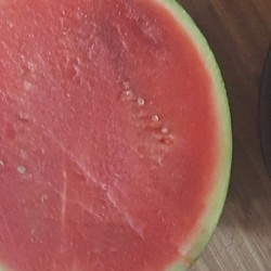 watermelon with white seeds