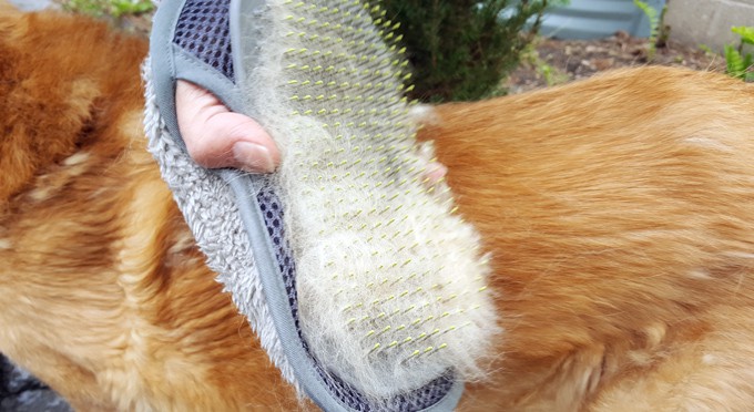 Remove shedding fur quickly and easily.