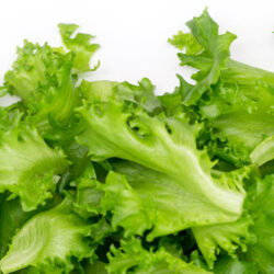 keeping lettuce fresh